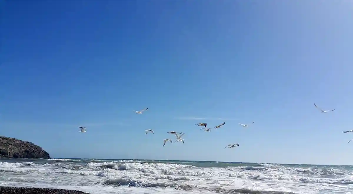 Una tarde en Septiembre