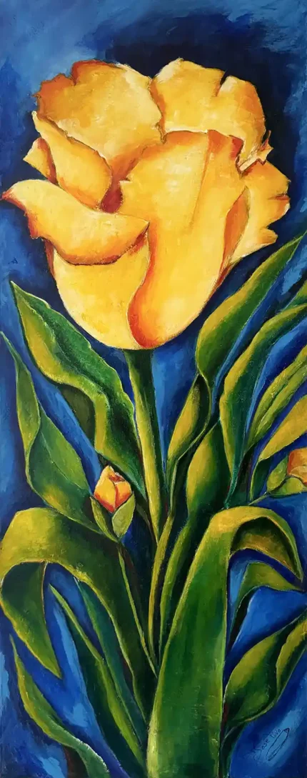 Tulipanes abierto y cerrado